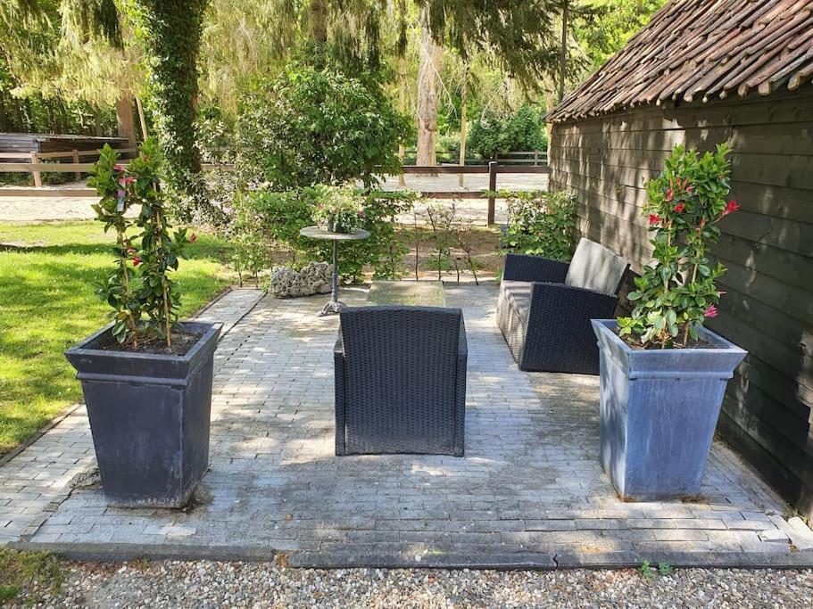Midden In De Friese Bossen Op Landgoed Princenhof オランニウッド エクステリア 写真