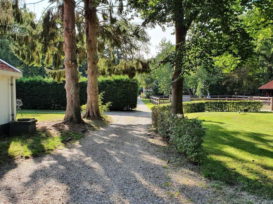 Midden In De Friese Bossen Op Landgoed Princenhof オランニウッド エクステリア 写真