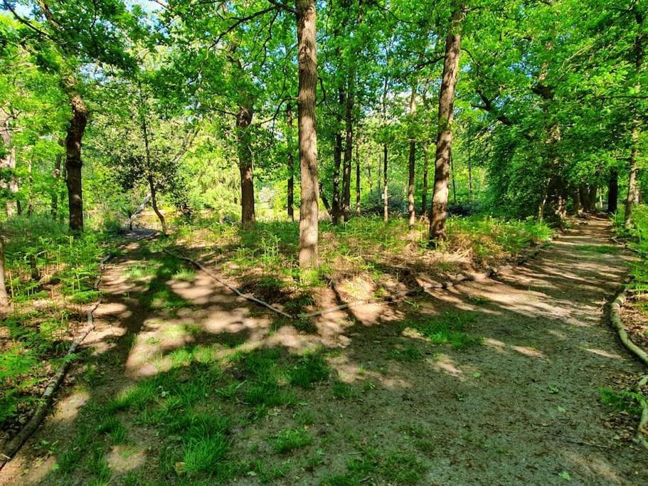 Midden In De Friese Bossen Op Landgoed Princenhof オランニウッド エクステリア 写真