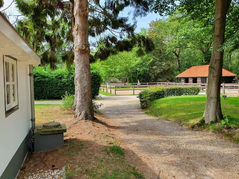 Midden In De Friese Bossen Op Landgoed Princenhof オランニウッド エクステリア 写真