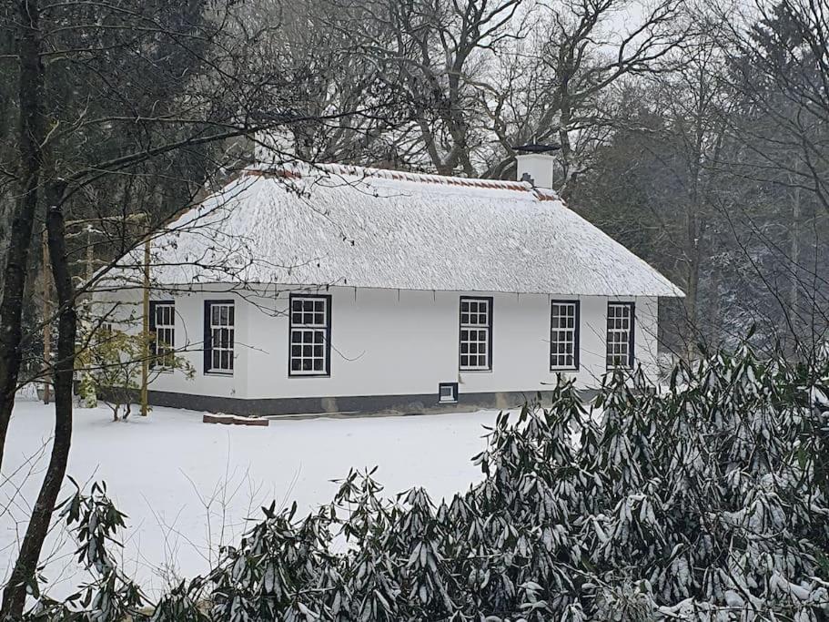 Midden In De Friese Bossen Op Landgoed Princenhof オランニウッド エクステリア 写真