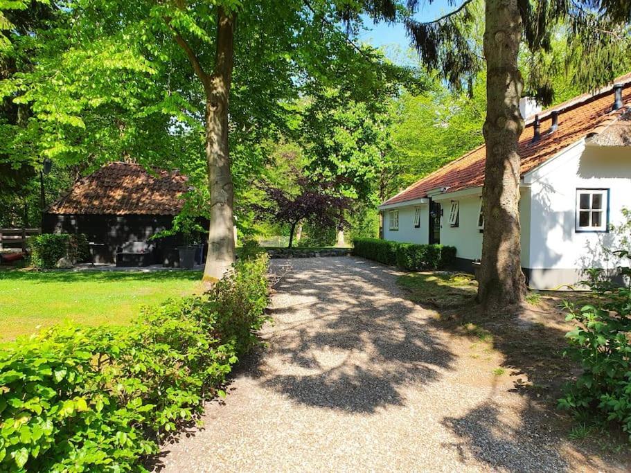 Midden In De Friese Bossen Op Landgoed Princenhof オランニウッド エクステリア 写真
