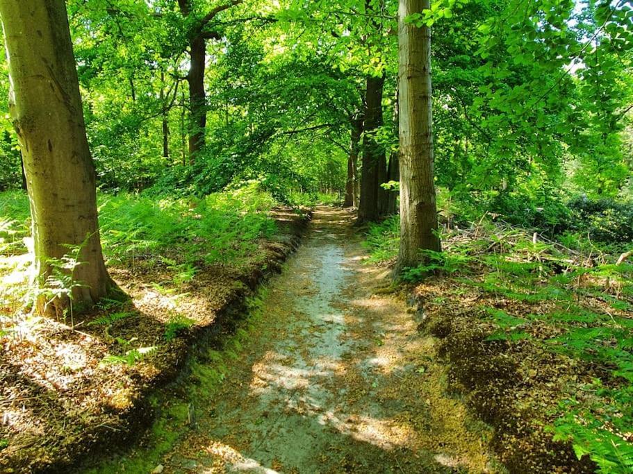 Midden In De Friese Bossen Op Landgoed Princenhof オランニウッド エクステリア 写真